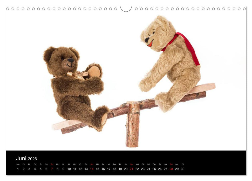 Martin Bären aus Sonneberg (CALVENDO Wandkalender 2026)