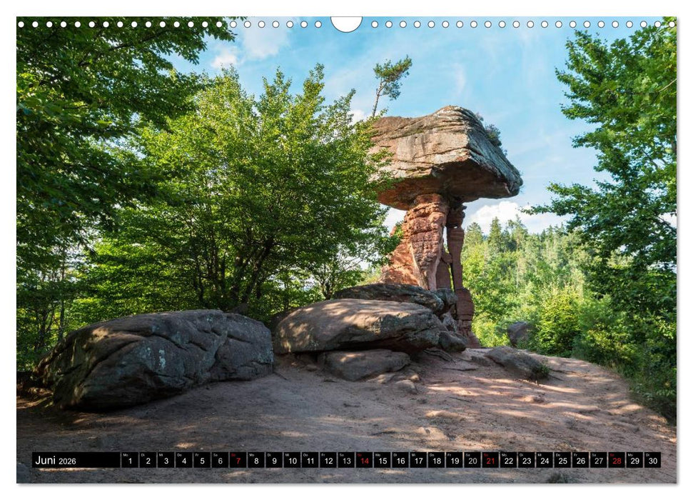 Traumlandschaften Deutschlands - Teil I (CALVENDO Wandkalender 2026)