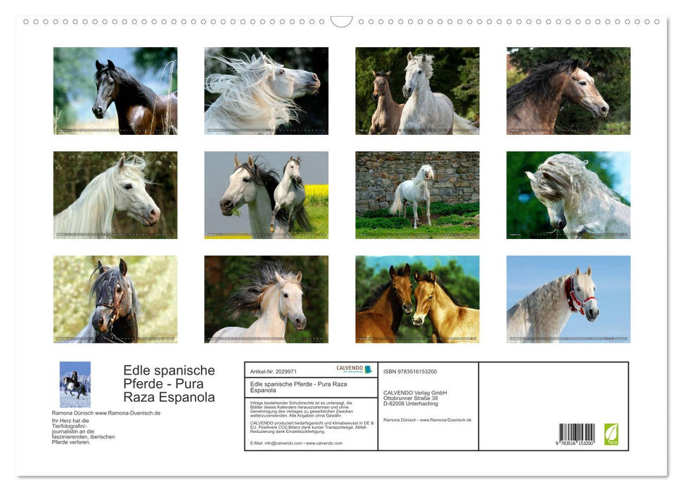 Edle spanische Pferde - Pura Raza Espanola (CALVENDO Wandkalender 2026)