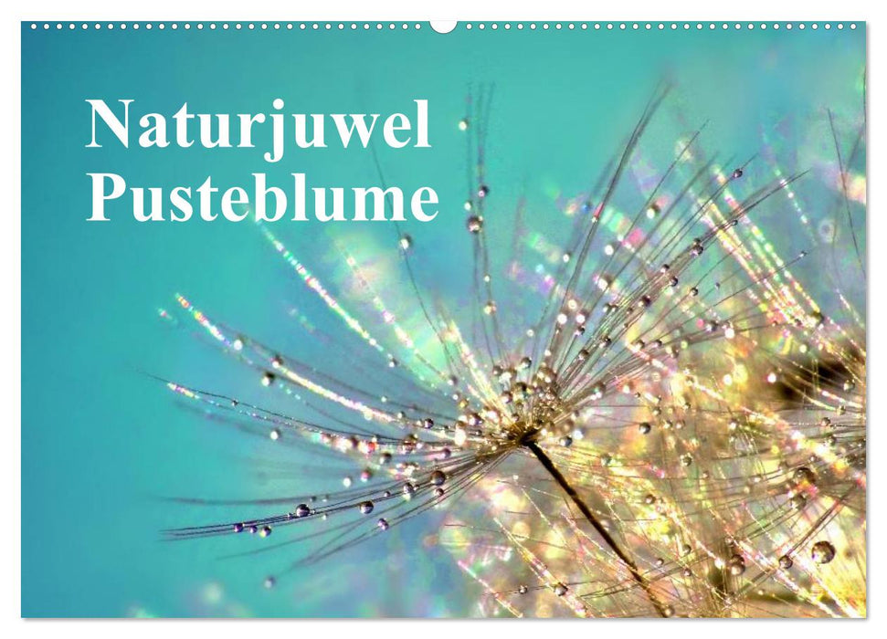 Naturjuwel Pusteblume (CALVENDO Wandkalender 2026)