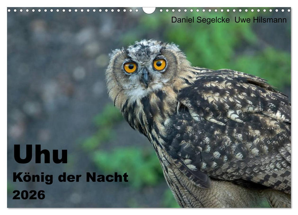 Uhu - König der Nacht (CALVENDO Wandkalender 2026)