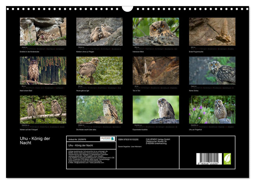 Uhu - König der Nacht (CALVENDO Wandkalender 2026)