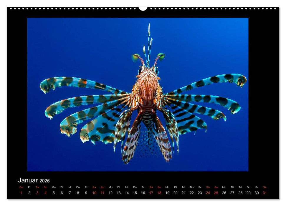 Ocean-Art / CH-Version (CALVENDO Premium Wandkalender 2026)