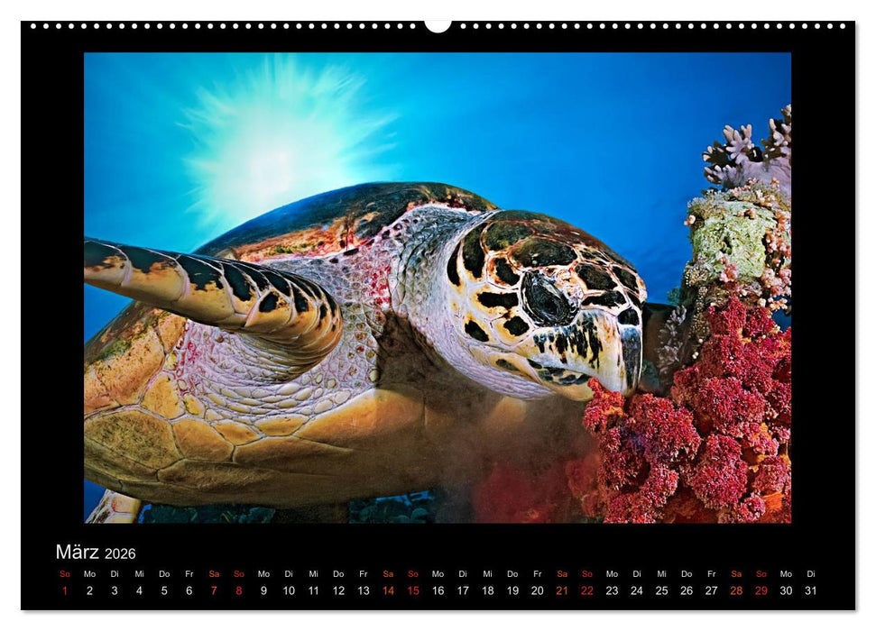Ocean-Art / CH-Version (CALVENDO Premium Wandkalender 2026)