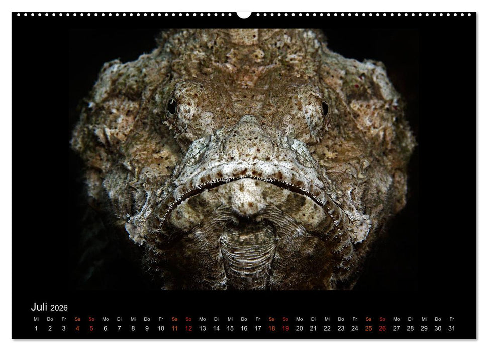 Ocean-Art / CH-Version (CALVENDO Premium Wandkalender 2026)