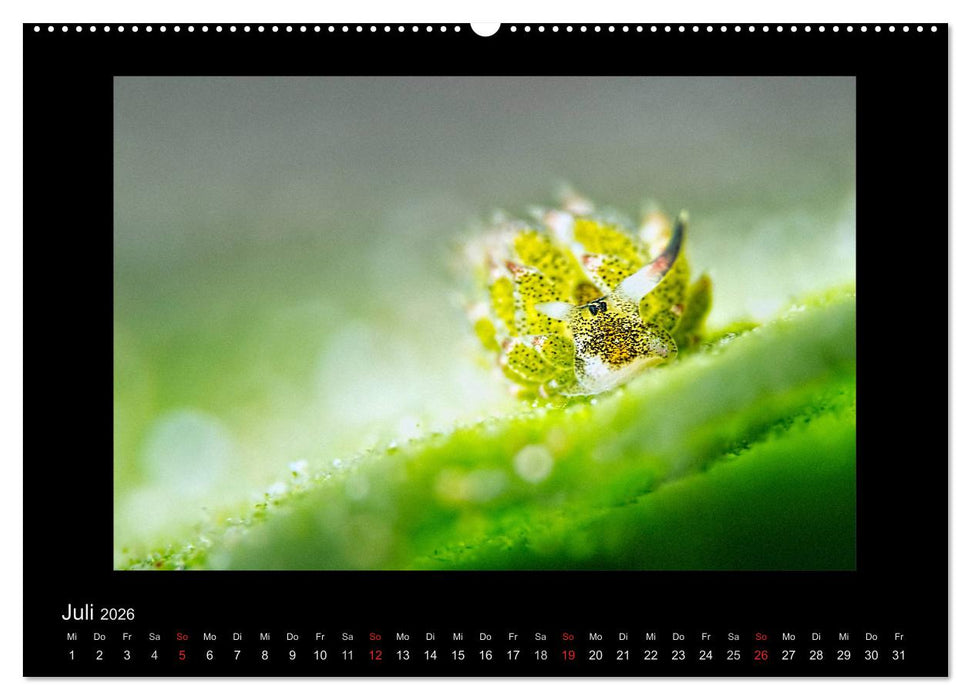 OCEAN - ART (CALVENDO Premium Wandkalender 2026)