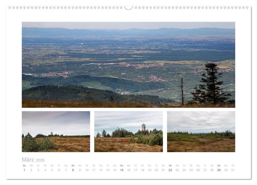 Die nördliche Ortenau (CALVENDO Premium Wandkalender 2026)
