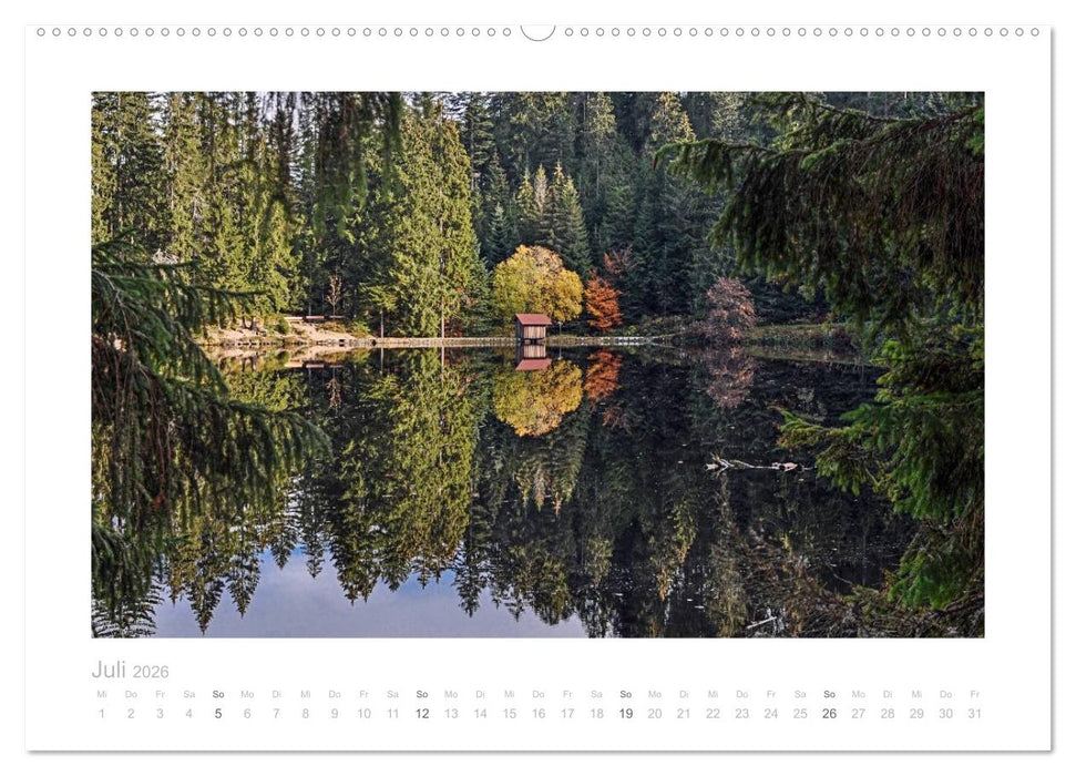 Die nördliche Ortenau (CALVENDO Premium Wandkalender 2026)