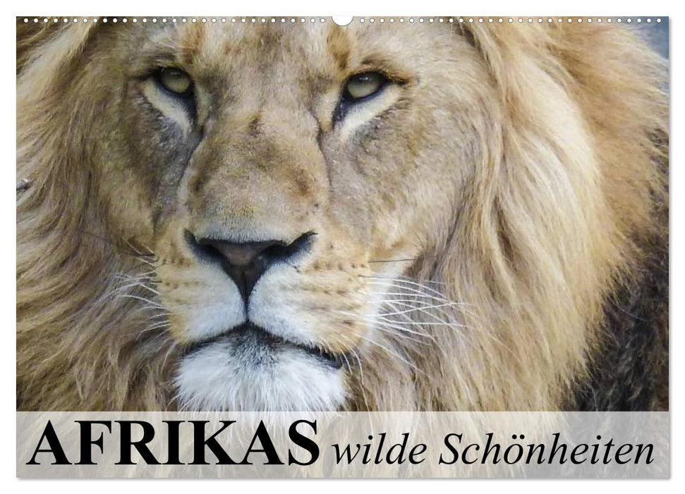 Afrikas wilde Schönheiten (CALVENDO Wandkalender 2026)