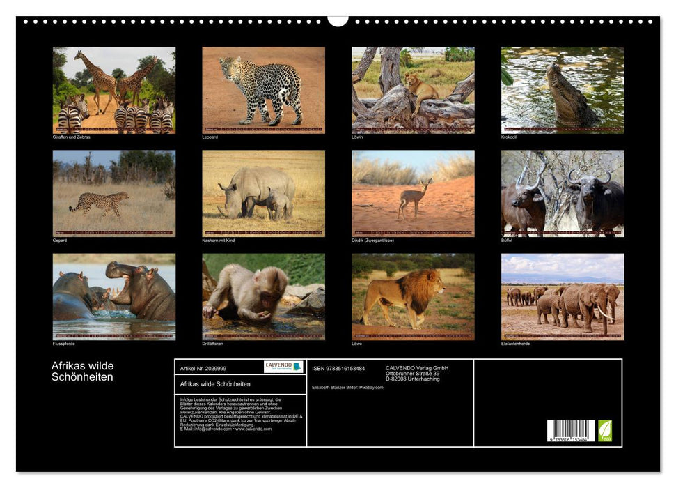 Afrikas wilde Schönheiten (CALVENDO Wandkalender 2026)