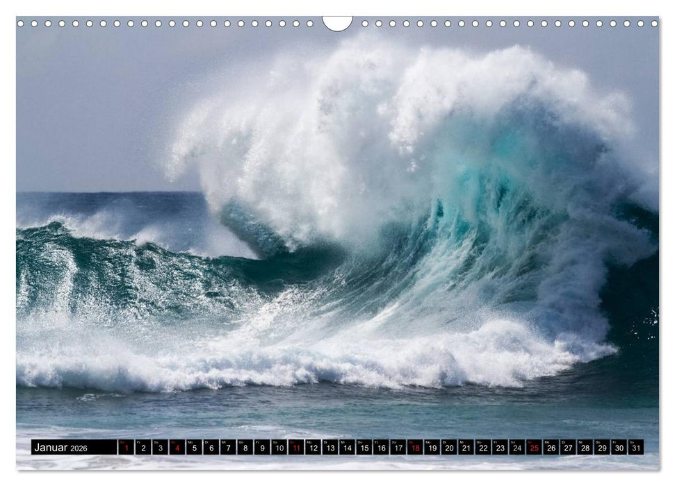 Hawai'i Wellen (CALVENDO Wandkalender 2026)