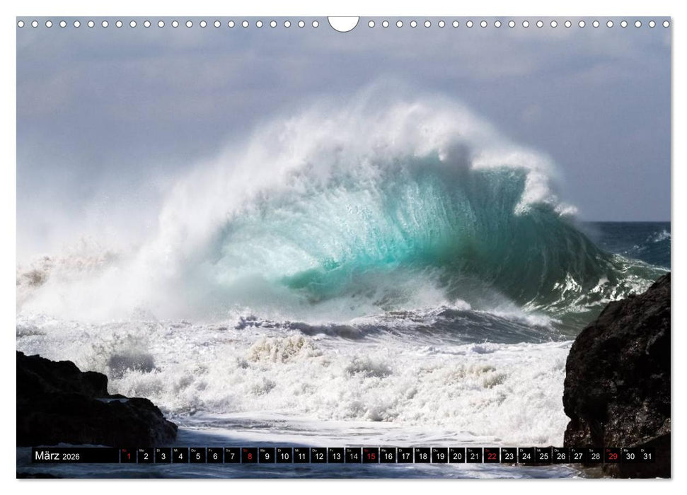 Hawai'i Wellen (CALVENDO Wandkalender 2026)