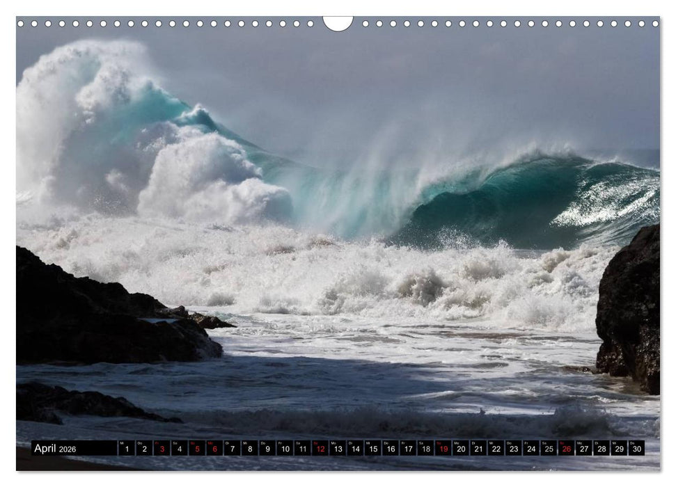Hawai'i Wellen (CALVENDO Wandkalender 2026)