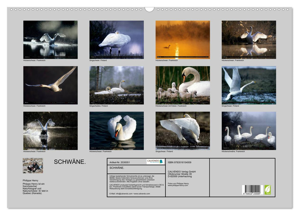 SCHWÄNE. (CALVENDO Wandkalender 2026)