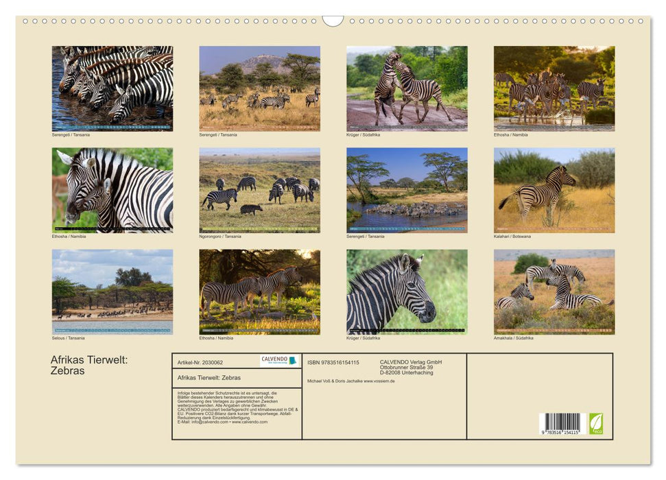 Afrikas Tierwelt: Zebras (CALVENDO Wandkalender 2026)