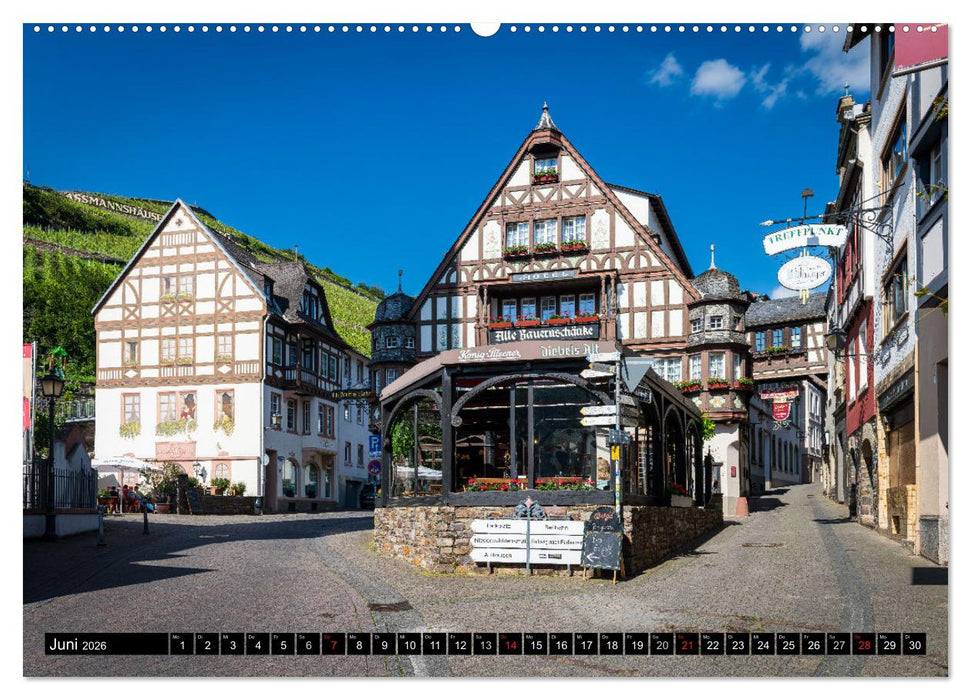 Kulturlandschaft Rheingau (CALVENDO Wandkalender 2026)