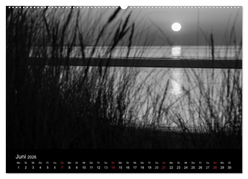 Das Licht in Schwarz und Weiß (CALVENDO Wandkalender 2026)