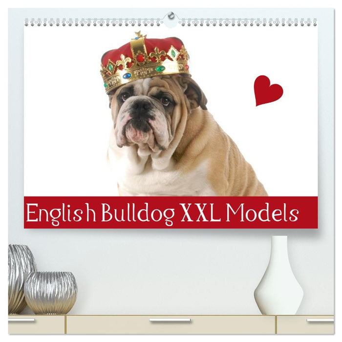English Bulldog XXL Models (CALVENDO Premium Wandkalender 2026)