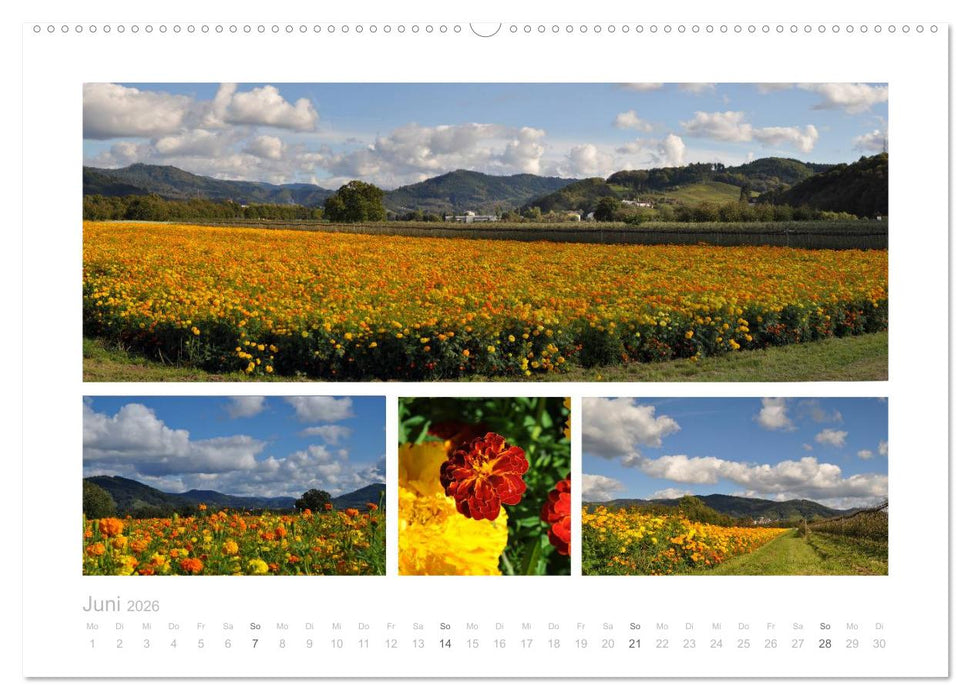 Die nördliche Ortenau (CALVENDO Wandkalender 2026)
