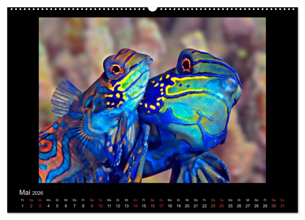 Ocean-Art / CH-Version (CALVENDO Wandkalender 2026)