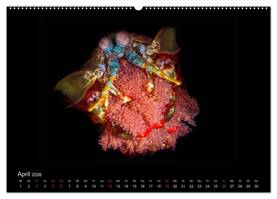 OCEAN - ART (CALVENDO Wandkalender 2026)