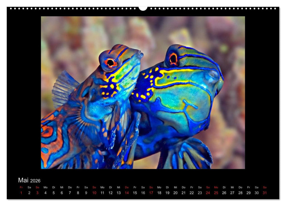 OCEAN - ART (CALVENDO Wandkalender 2026)