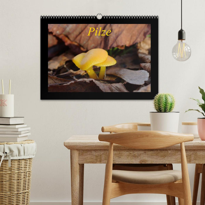Pilze (CALVENDO Wandkalender 2026)