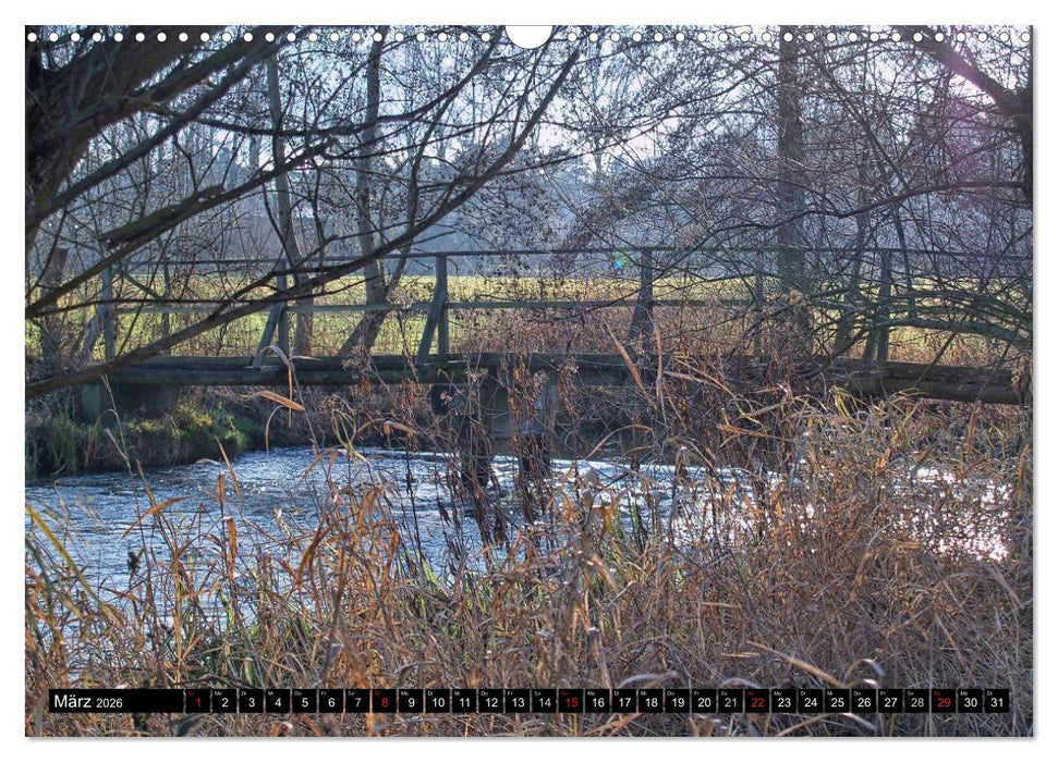 Brandenburg'sche Impressionen (CALVENDO Wandkalender 2026)