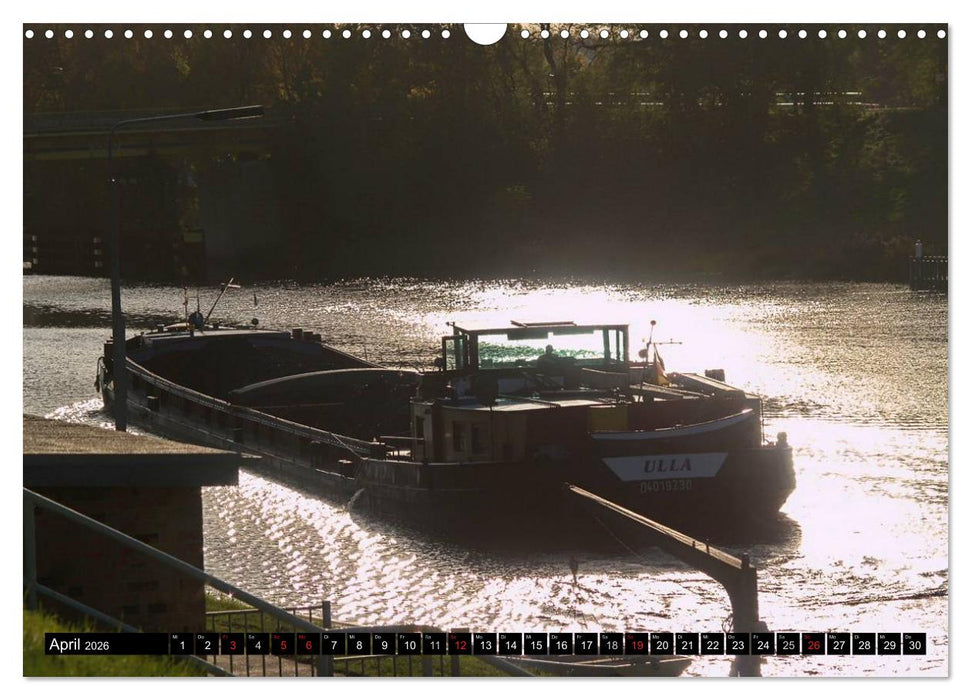 Brandenburg'sche Impressionen (CALVENDO Wandkalender 2026)