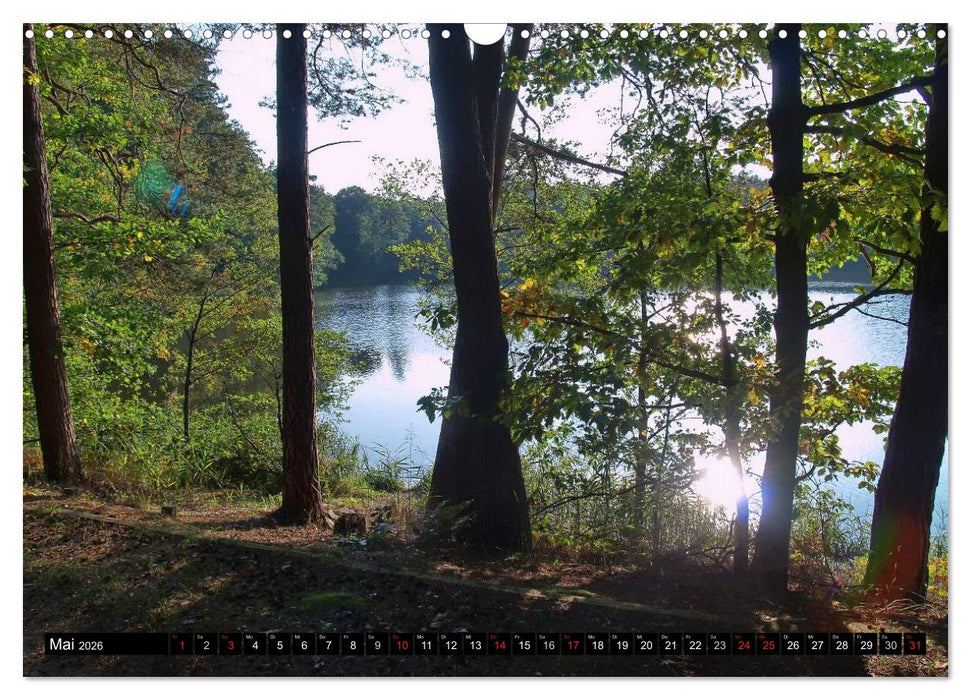 Brandenburg'sche Impressionen (CALVENDO Wandkalender 2026)