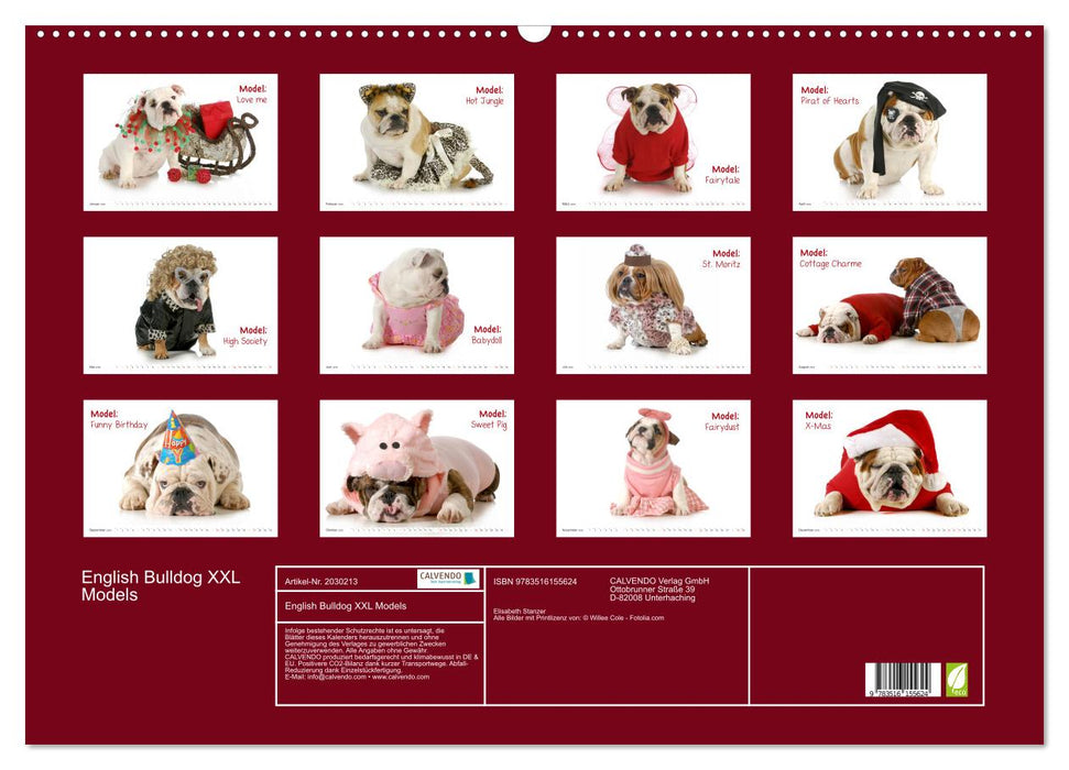 English Bulldog XXL Models (CALVENDO Wandkalender 2026)
