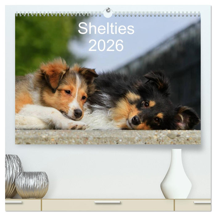 Shelties 2026 (CALVENDO Premium Wandkalender 2026)