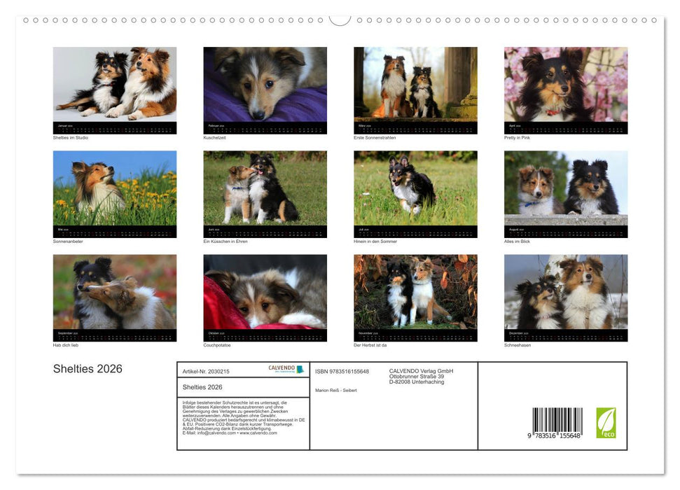 Shelties 2026 (CALVENDO Premium Wandkalender 2026)