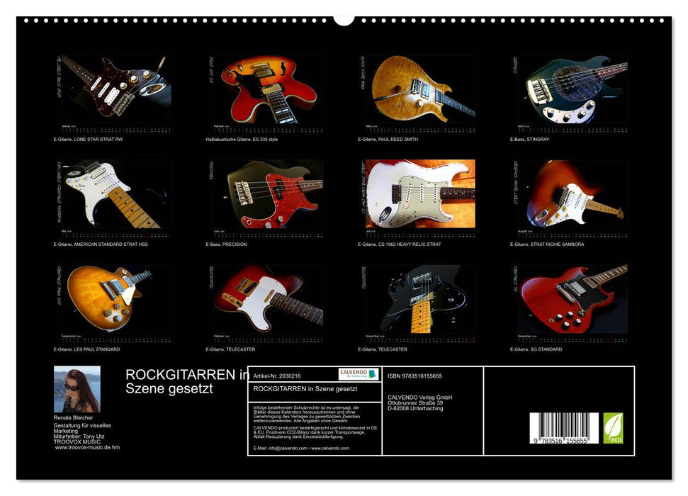 ROCKGITARREN in Szene gesetzt (CALVENDO Premium Wandkalender 2026)