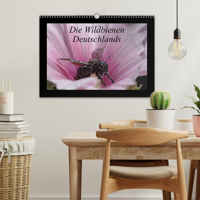 Die Wildbienen Deutschlands (CALVENDO Wandkalender 2026)