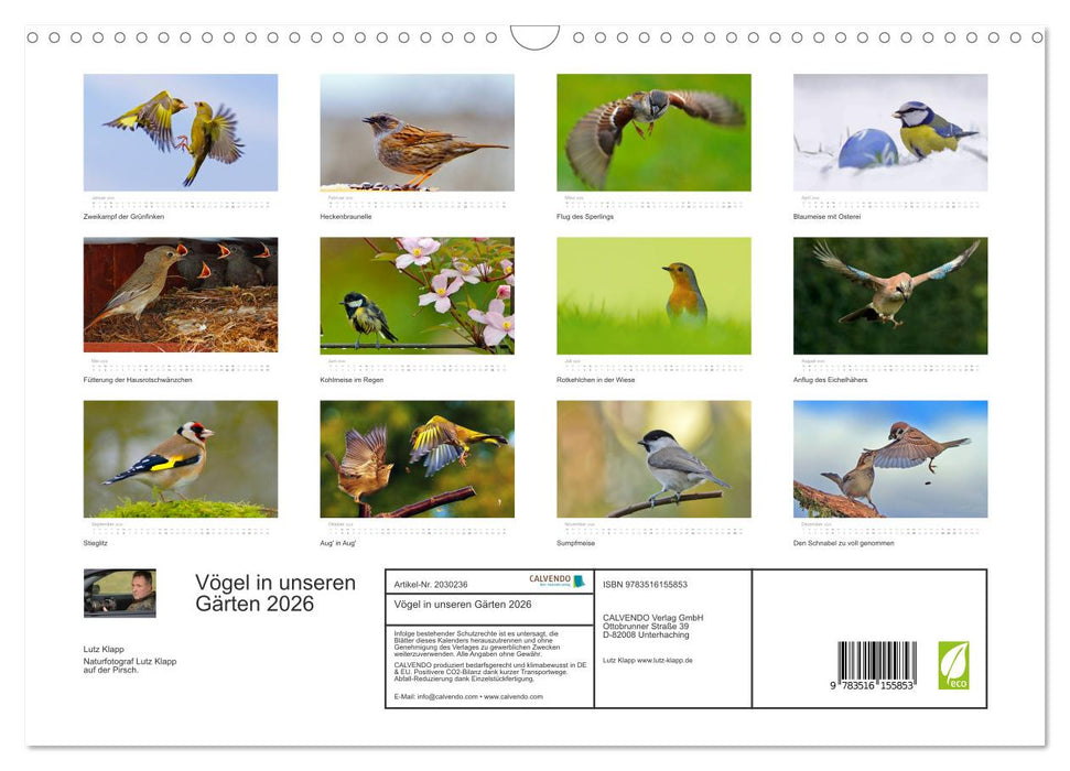 Vögel in unseren Gärten 2026 (CALVENDO Wandkalender 2026)