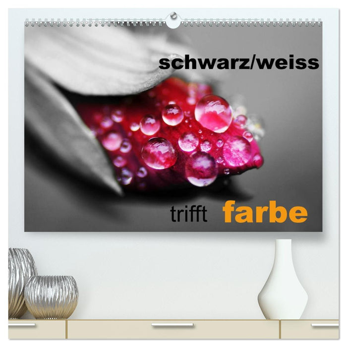 schwarz/weiß trifft farbe (CALVENDO Premium Wandkalender 2026)