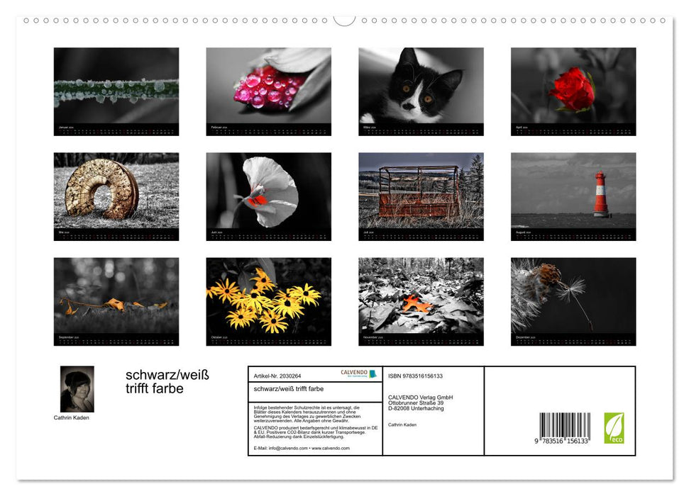 schwarz/weiß trifft farbe (CALVENDO Premium Wandkalender 2026)