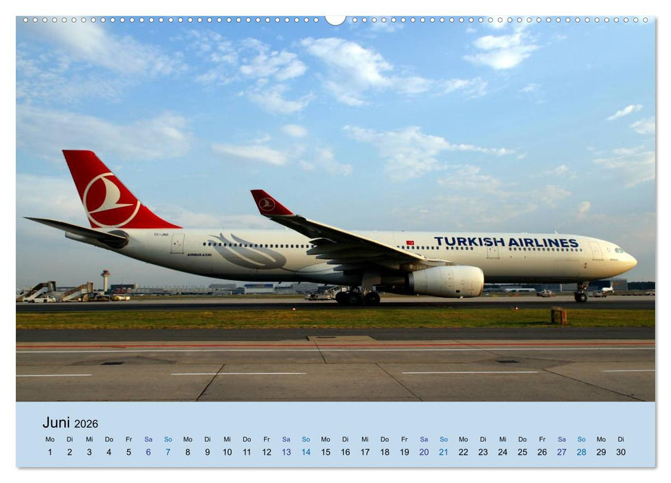 Giganten der Lüfte (CALVENDO Premium Wandkalender 2026)