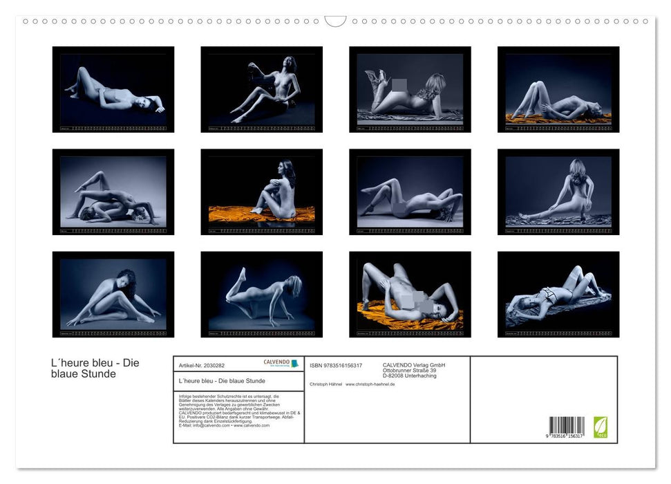 L´heure bleu - Die blaue Stunde (CALVENDO Wandkalender 2026)