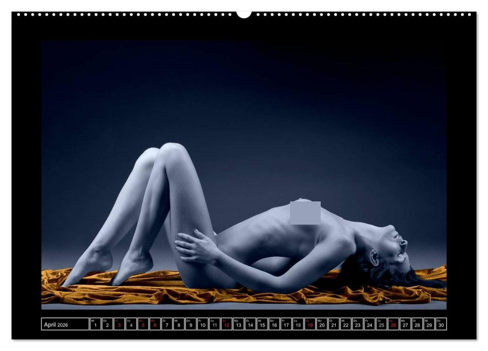 L´heure bleu - Die blaue Stunde (CALVENDO Wandkalender 2026)