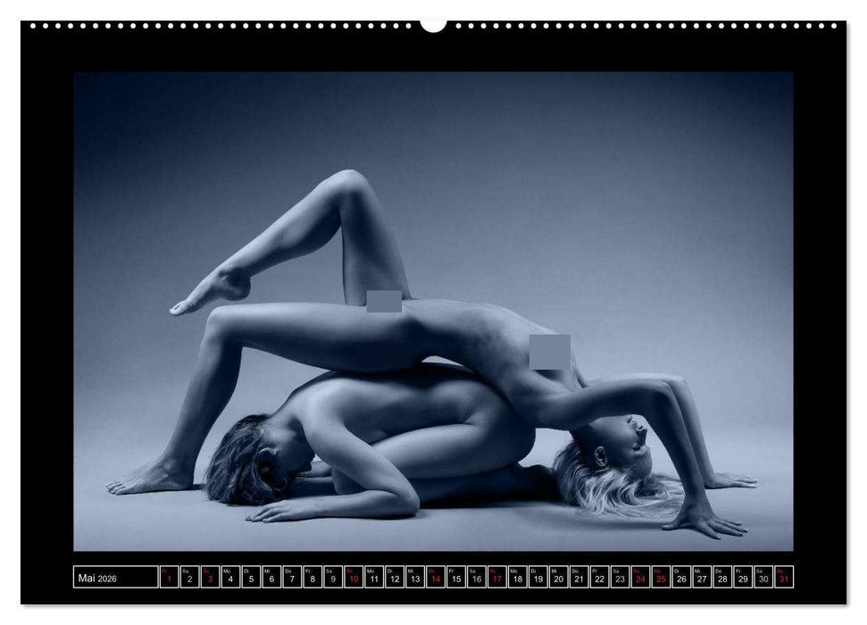 L´heure bleu - Die blaue Stunde (CALVENDO Wandkalender 2026)