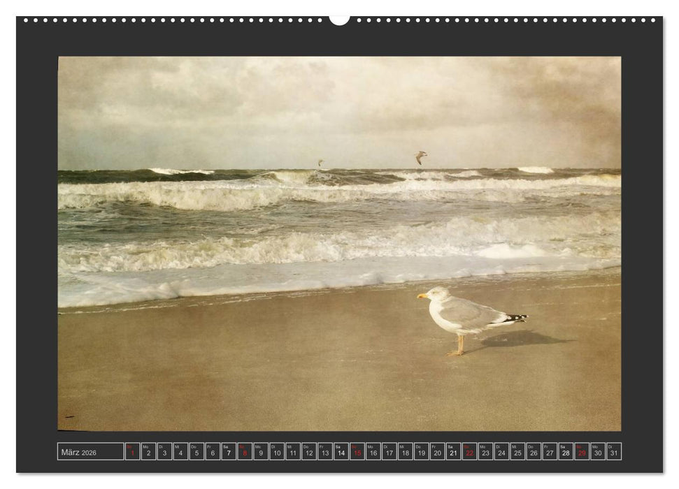 Malerisches Sylt (CALVENDO Wandkalender 2026)