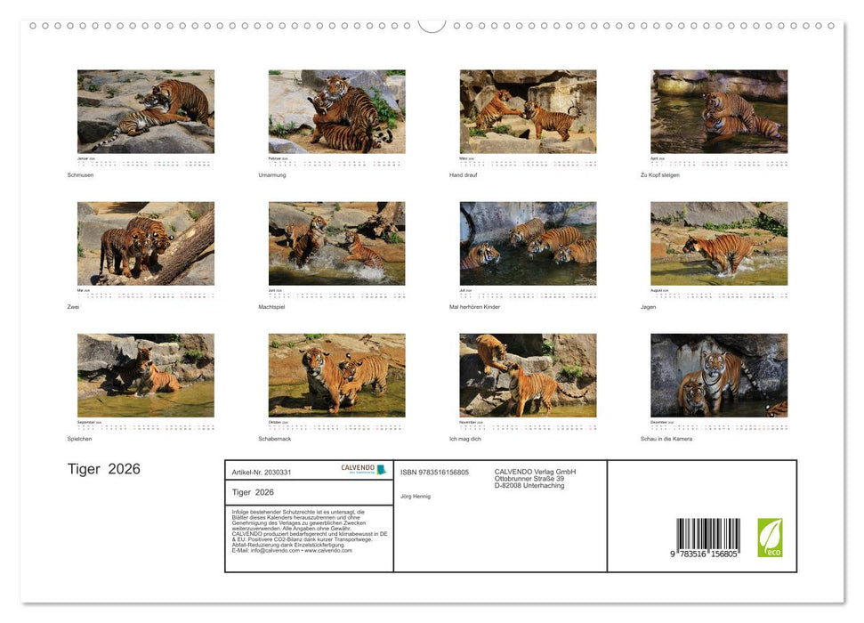 Tiger 2026 (CALVENDO Premium Wandkalender 2026)
