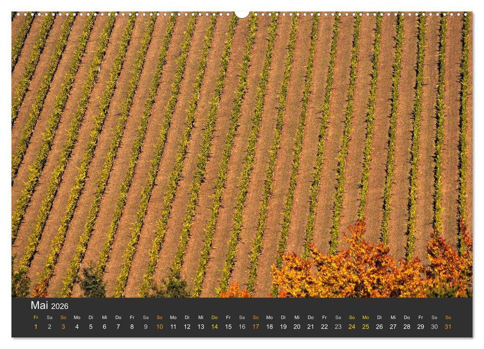 Die Südsteirischen Weinstrasse (CALVENDO Premium Wandkalender 2026)