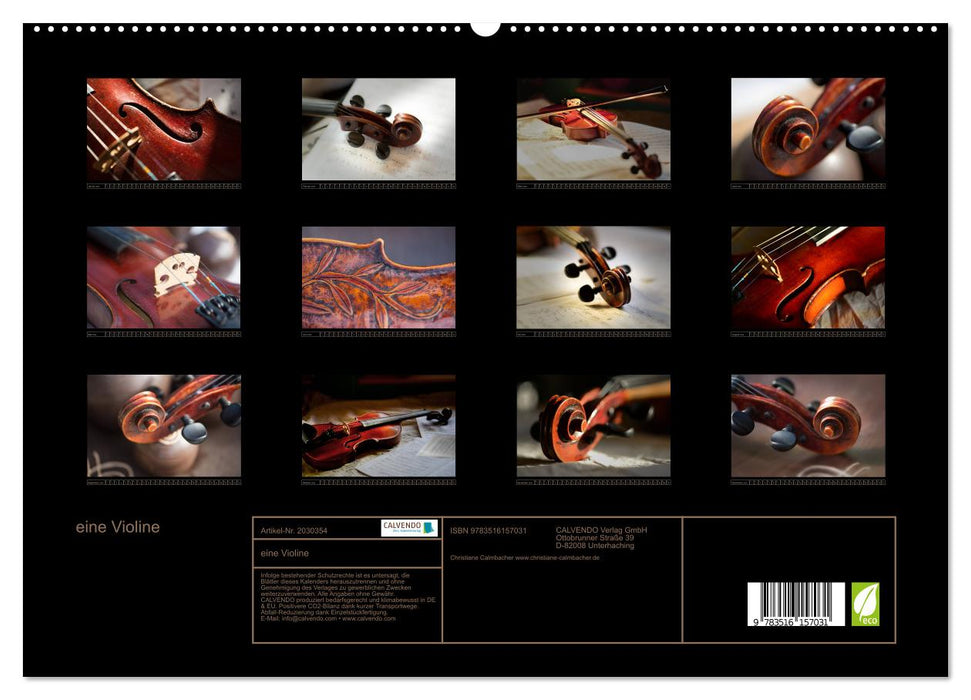 eine Violine (CALVENDO Premium Wandkalender 2026)