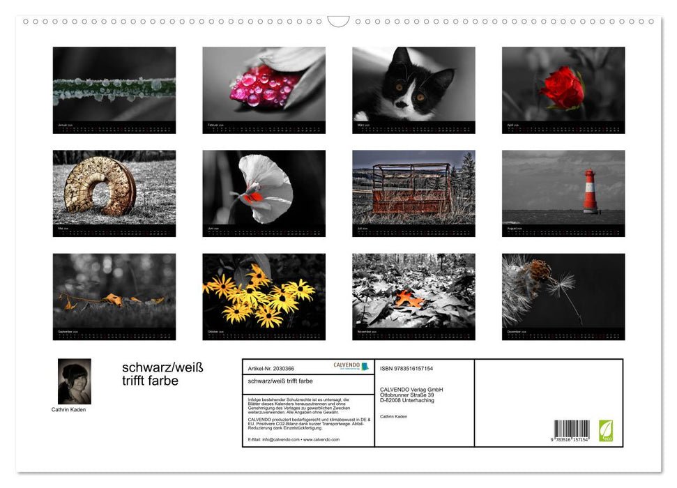 schwarz/weiß trifft farbe (CALVENDO Wandkalender 2026)