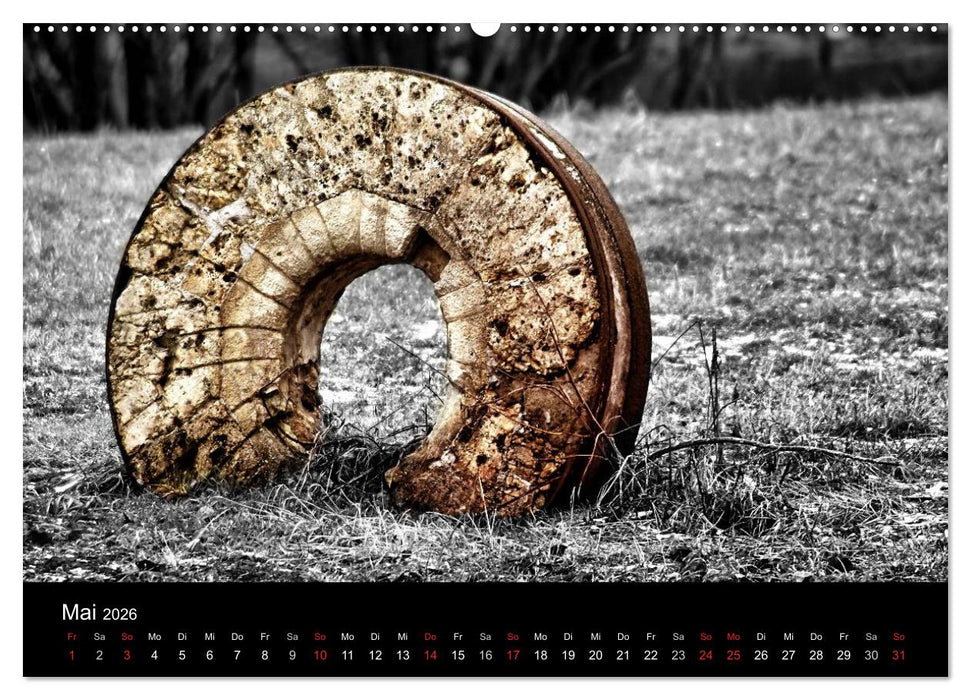 schwarz/weiß trifft farbe (CALVENDO Wandkalender 2026)