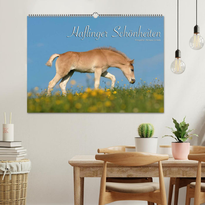 Haflinger Schönheiten (CALVENDO Wandkalender 2026)