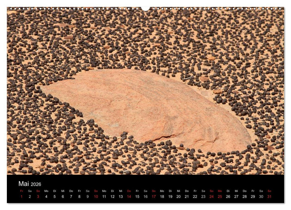 Sand und Stein 2026 (CALVENDO Wandkalender 2026)